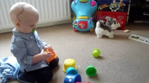 La doar un an a supravieţuit unei operaţii de 7 ore în care i-a fost spart craniul 