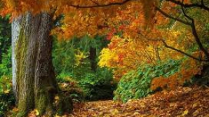 Ce surprize ne pregăteşte vremea în următoarele 7 zile