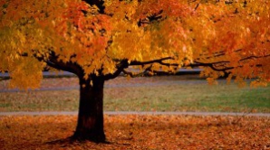 Prognoza meteo pentru 2 noiembrie