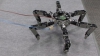 Asterisk - robotul-păianjen versatil