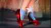 Pantofii lui Dorothy din Vrăjitorul din Oz, scoşi la licitaţie 