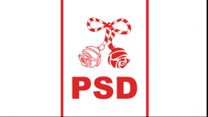 PSD va iniţia un referendum privind aderarea la Uniunea vamală Rusia-Belarus-Kazahstan