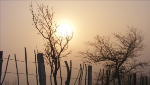 Prognoza meteo pentru 18 decembrie