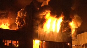 Un incendiu de proporţii continuă să mistuie mii de hectare dintr-un parc naţional din Chile 