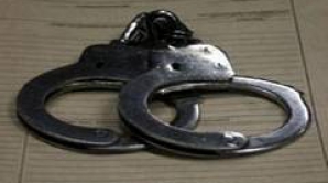 Încă 10 zile de arest pentru activistul rus Serghei Udaltsov 