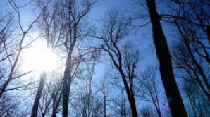 Prognoza meteo pentru 11 ianuarie