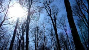 Prognoza meteo pentru 10 decembrie