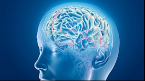 Maşina care citeşte gândurile va fi construită până în 2017