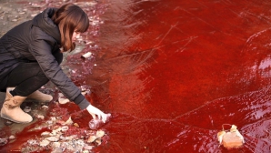 Râul "de sânge" din China FOTO
