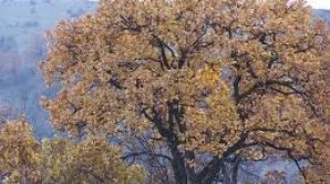 Prognoza meteo pentru 2 decembrie