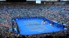  Nadal, Federer, Berdych şi Del Potro s-au calificat în sferturile de finală la Australian Open