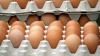 Din 2012, Republica Moldova va avea ouă ştampilate