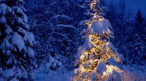 Prognoza meteo pentru 12 ianuarie