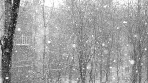 Prognoza meteo pentru următoarele 7 zile