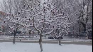 Prognoza meteo pentru săptămâna viitoare