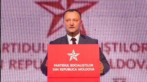 Socialiştii: Unele formaţiuni din AIE folosesc în scopuri politice cazul tânărului împuşcat de un pacificator