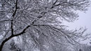 Prognoza meteo pentru 19 ianuarie