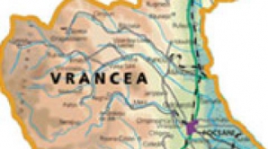 Cutremur de 4,4 pe Richter în zona Vrancea