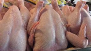 Alertă în Germania! Majoritatea puilor vânduţi în magazine sunt contaminaţi cu bacterii