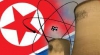 Coreea de Nord renunţă la programul nuclear