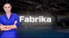 Despre şedinţa Consiliului AIE, referendum şi alegerea preşedintelui LIVE TEXT Fabrika