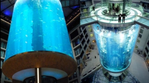 Cele mai spectaculoase lifturi din lume VIDEO