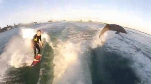 Un băiat face surfing cu delfinii (VIDEO)