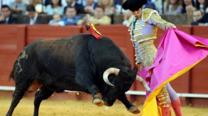 Protest în Columbia: Peste 200 de persoane au cerut abolirea coridelor