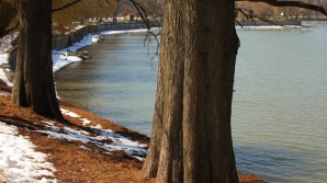 Prognoza meteo pentru următoarele şapte zile