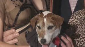 La Los Angeles a avut loc gala premiilor "Zgarda de Aur" 