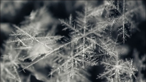 Prognoza meteo pentru următoarele şapte zile