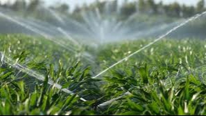 Solurile din Moldova ar putea fi irigate cu resurse de apă din Prut şi Nistru