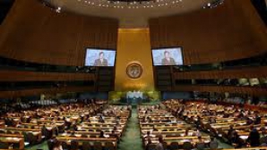 Adunarea Generală a ONU a aprobat Rezoluţia cu privire la Siria