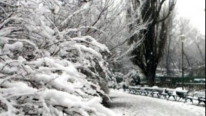 România: Drumuri închise, sate izolate, stare de alertă în unele judeţe şi oamenii blocaţi în nămeţi