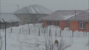 În România vine "potopul": În urma zăpezilor, riscă să se confrunte cu inundaţii puternice