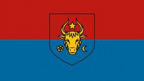 Consilierii comunişti de la Bălţi au decis: Drapelul bicolor va fi arborat