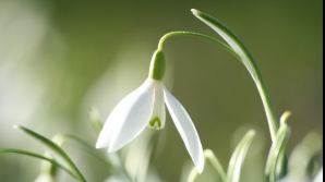 Ce ne pregăteşte vremea pentru următoarele şapte zile