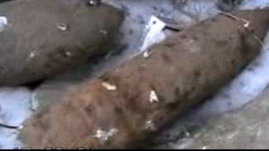 32 de bombe din perioada celui de-al doilea război mondial au fost neutralizate la Orhei 