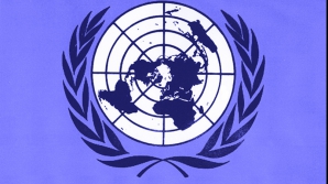 ONU îndeamnă Guvernul să reacţioneze la acţiunile împotriva minorităţilor