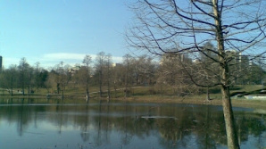 Prognoza meteo pentru următoarele şapte zile