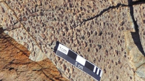 Urmele de ploaie fosilizate dezvăluie informaţii despre atmosferă