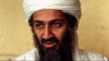 Văduvele lui Osama ben Laden, condamnate la 45 de zile de închisoare