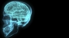 Câţi megabiţi are creierul unui om? Nu vei ghici niciodată răspunsul