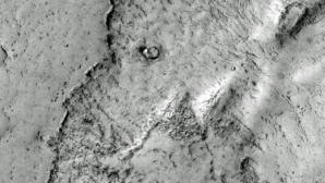 Ce caută elefanţii pe Marte?