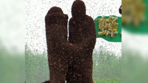 Un cuplu s-a acoperit cu aproape un milion de albine pentru a-şi demonstra dragostea 