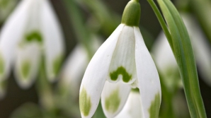 Vreme cu soare şi ploi mâine în Moldova