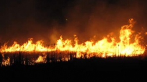 Incendiu de proporţii în Central Park: Peste 100 de pompieri s-au mobilizat pentru a stinge focul 