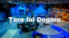 Ţara lui Dogaru despre cât de pregătiţi sunt tinerii jurnalişti să schimbe situaţia din mass media