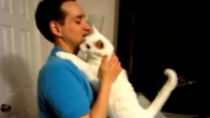 O pisică își îmbrățișează drăgăstoasă stăpânul. Ce credeți că vrea de fapt? VIDEO