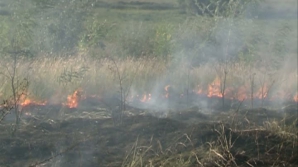 Arderea vegetaţiei uscate va fi sancţionată mai dur 
